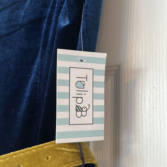 Navy and Gold Velvet Dress. NWT. Peter Pan Collar Tulip B - Picture 3 of 6